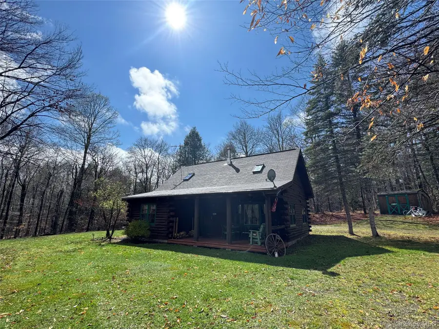 41 Maple Lane, Livingston Manor, NY 12758 - #3