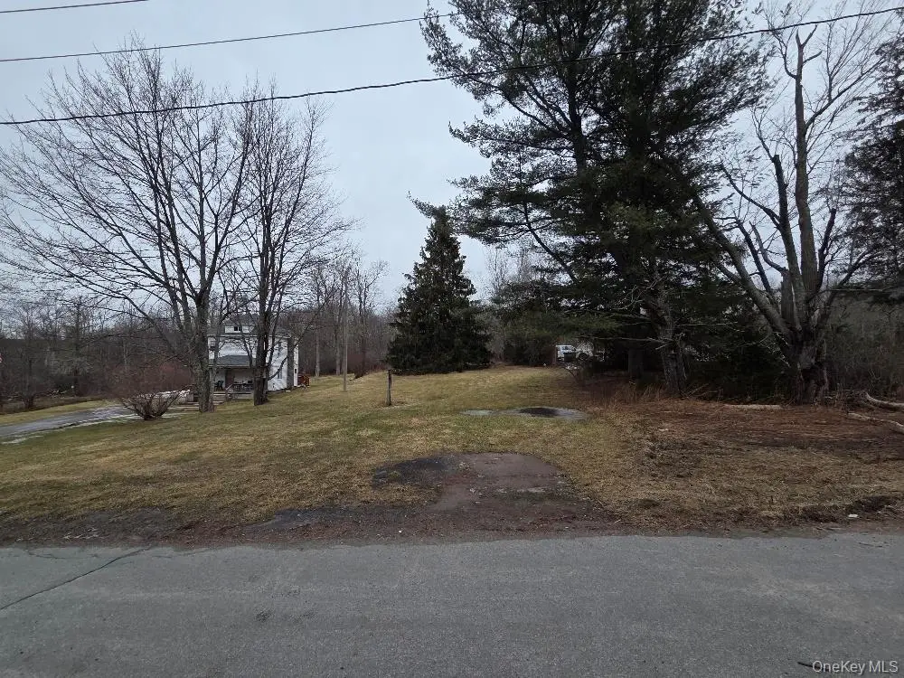 TBD State Route 52, Liberty, NY 12787 - #1
