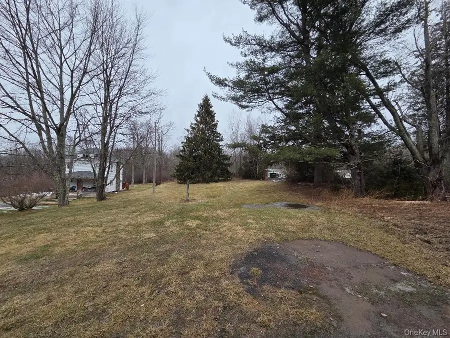 TBD State Route 52, Liberty, NY 12787 - #2