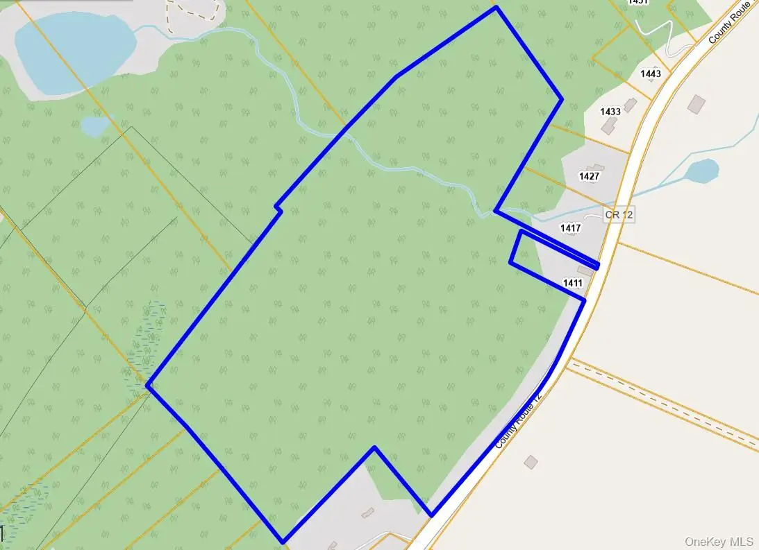 Co Rt 12, New Hampton, NY 10958 - #1