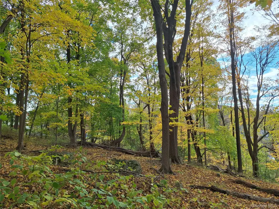 2 Wright Street, Newburgh, NY 12550 - #3