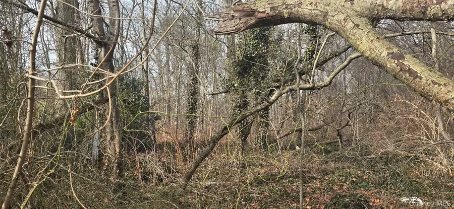 VL(36) Mastic Boulevard, Mastic, NY 11950 - #3