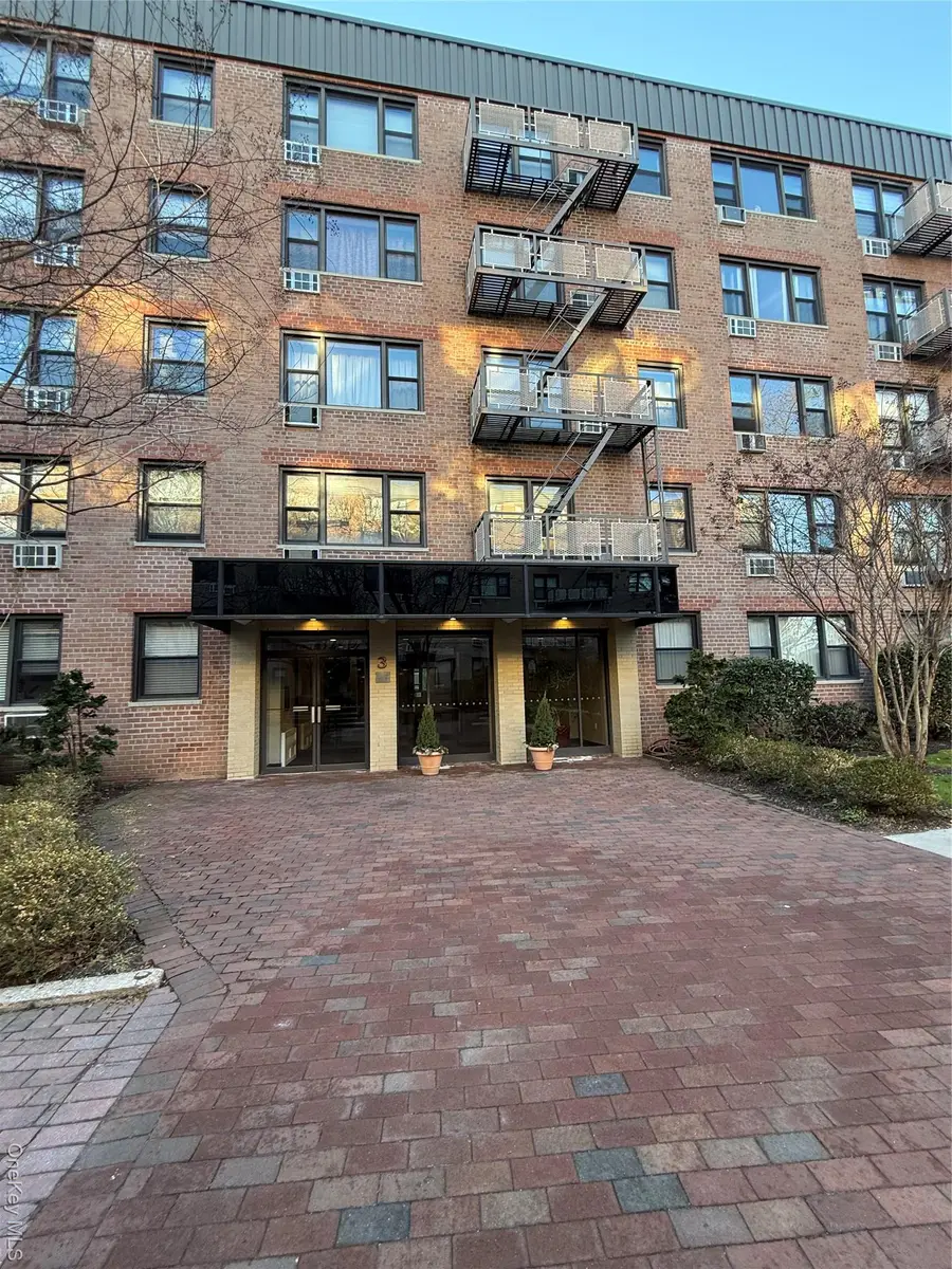 3 Birchwood Court #5B, Mineola, NY 11501 - #3