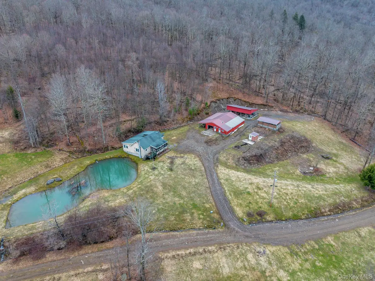 540 Lewis Road, Walton, NY 13856 - #1