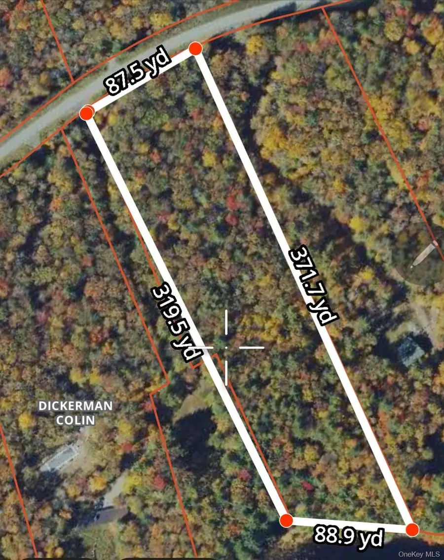 Mathias Weiden Drive, Narrowsburg, NY 12764 - #2