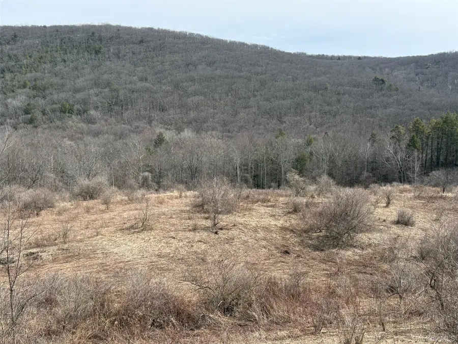 Lot # 3 Mountain Edge Lane, Millerton, NY 12546 - #3