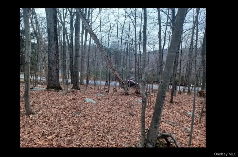 27 Jean Drive, Cortlandt Manor, NY 10567 - #2