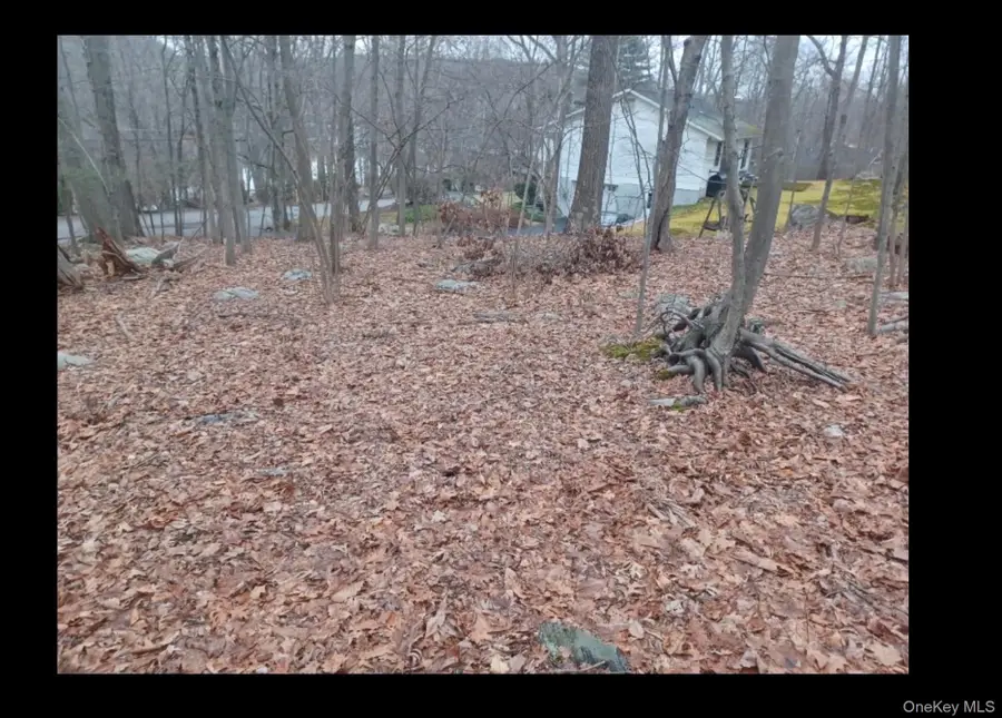 27 Jean Drive, Cortlandt Manor, NY 10567 - #3