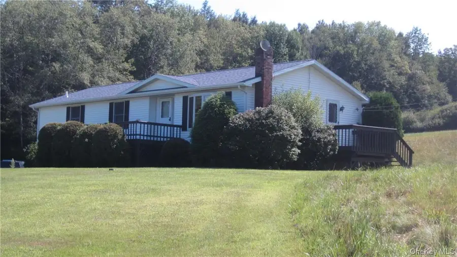 989 Lenape Lake Road, Livingston Manor, NY 12758 - #3