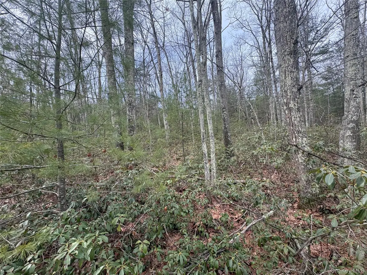 Bennett Road, Napanoch, NY 12458 - #1