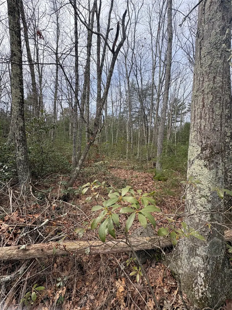 Bennett Road, Napanoch, NY 12458 - #3