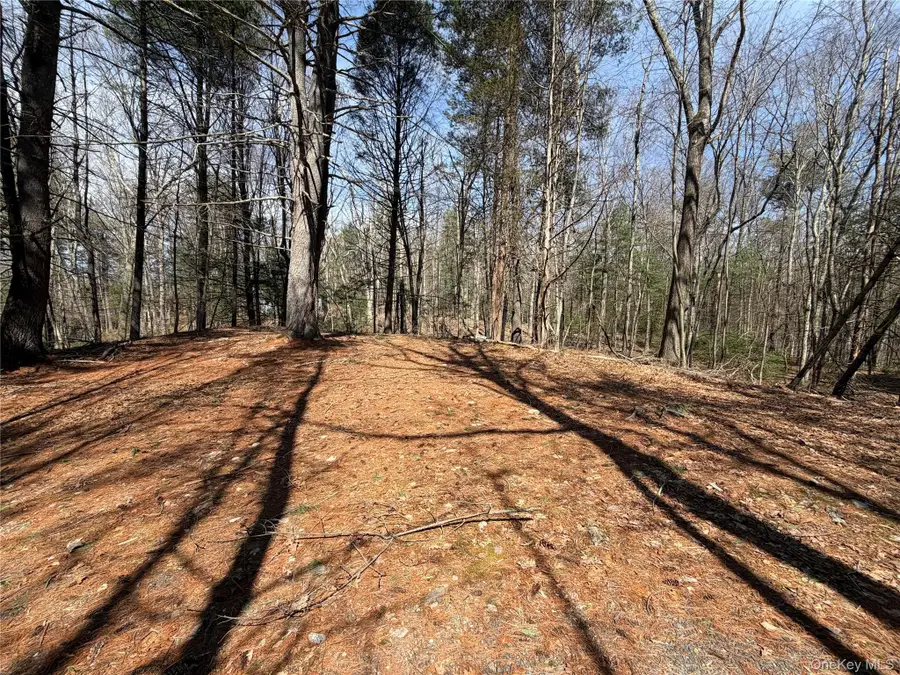 42 Yorkville Park Road, Bloomingburg, NY 12721 - #3