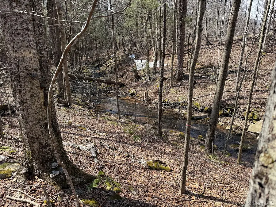 0 Menges Road, Youngsville, NY 12791 - #2