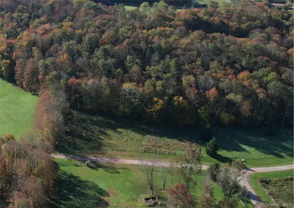 Lot 10 Timber Drive Road, Cochecton, NY 12726