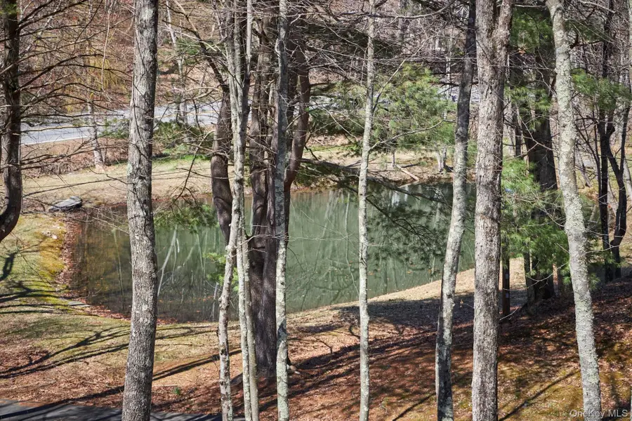 611 N Clove Road, Millbrook, NY 12545 - #3