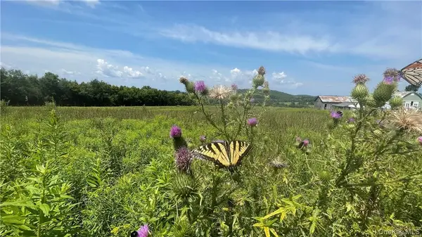 Beechwoods Road, Callicoon, NY 12723