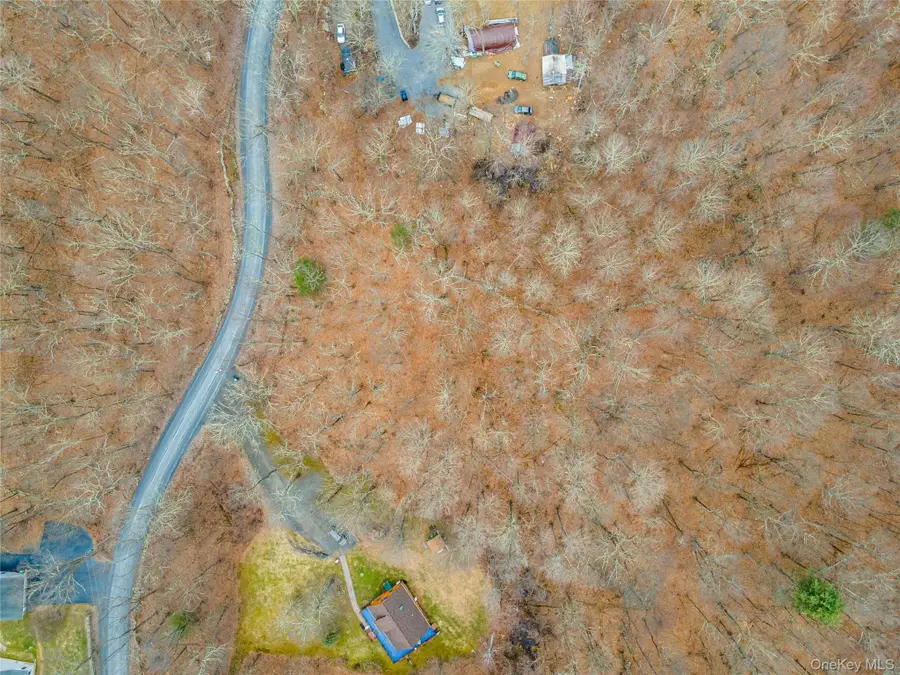 100 Lewis Lane, Wallkill, NY 12589 - #2