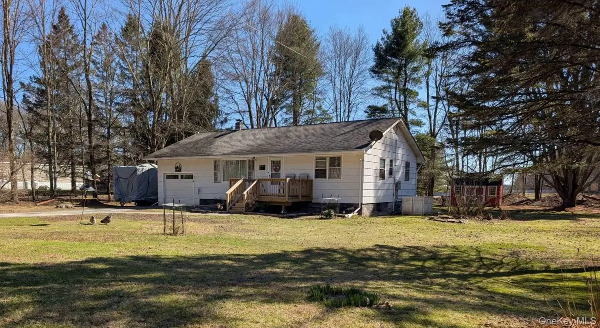 47 Forman Road, Cochecton, NY 12726 - #1