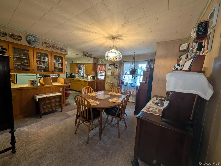 47 Forman Road, Cochecton, NY 12726 - #3