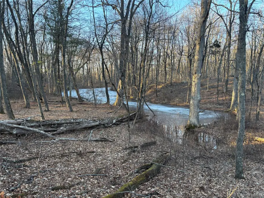 Barkit Kennel Rd, Pleasant Valley, NY 12569 - #2