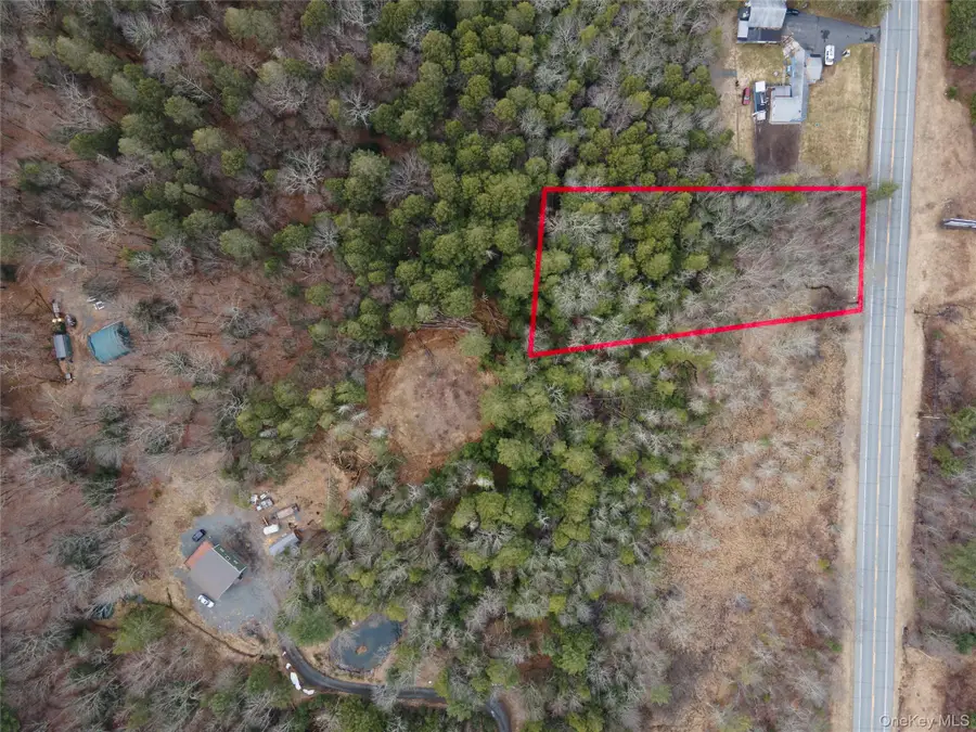 Route 52, Wawarsing, NY 12489 - #2