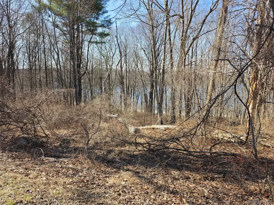 6 Willow Road, Carmel, NY 10512 - #2