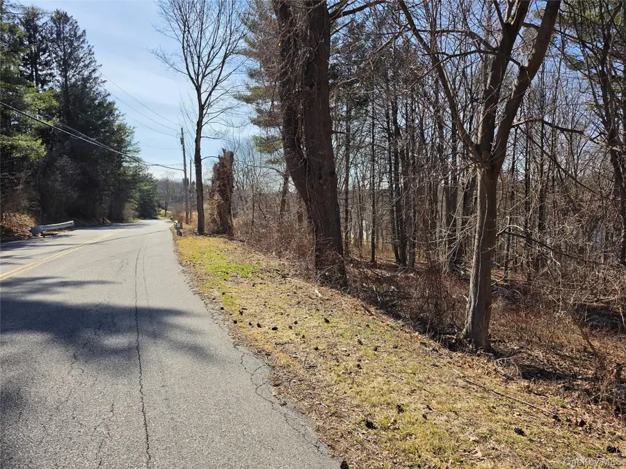 6 Willow Road, Carmel, NY 10512 - #3