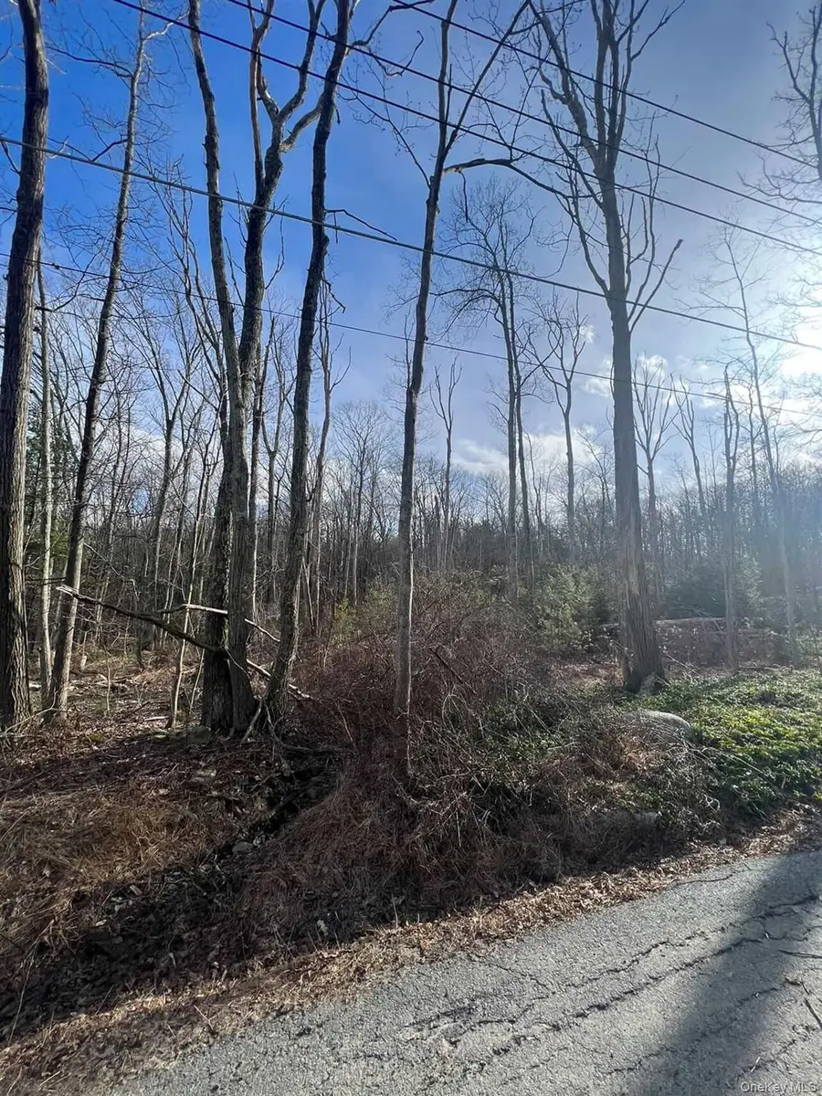 0 Laurel Trail, Wurtsboro, NY 12790 - #3