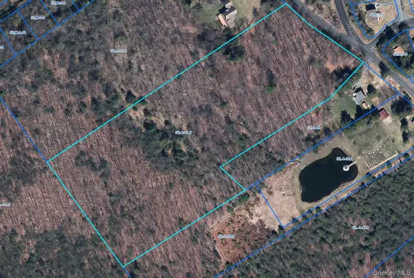 TBD Old Sackett Road, Rock Hill, NY 12775