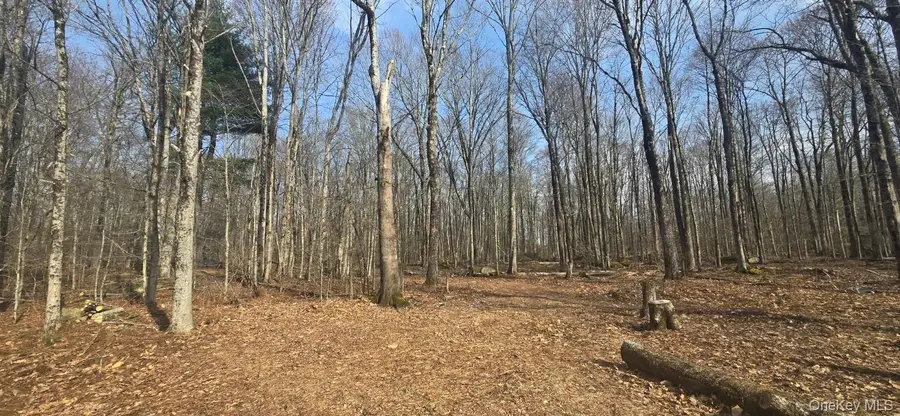 8 Starlight Drive, Monticello, NY 12701 - #3