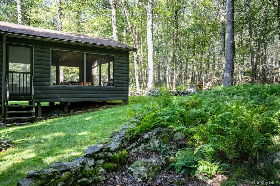 30 Woods Road, Yulan, NY 12792 - #3