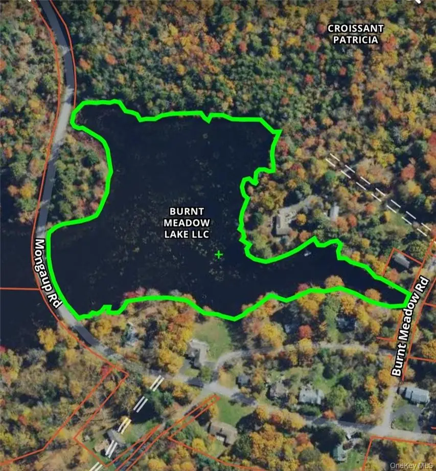 Mongaup Road, Monticello, NY 12701 - #1