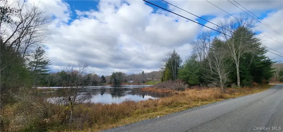 Mongaup Road, Monticello, NY 12701 - #3