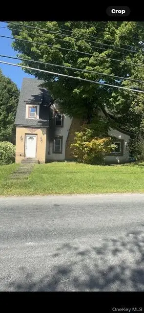 33 Pearl Street, Livingston Manor, NY 12758 - #1