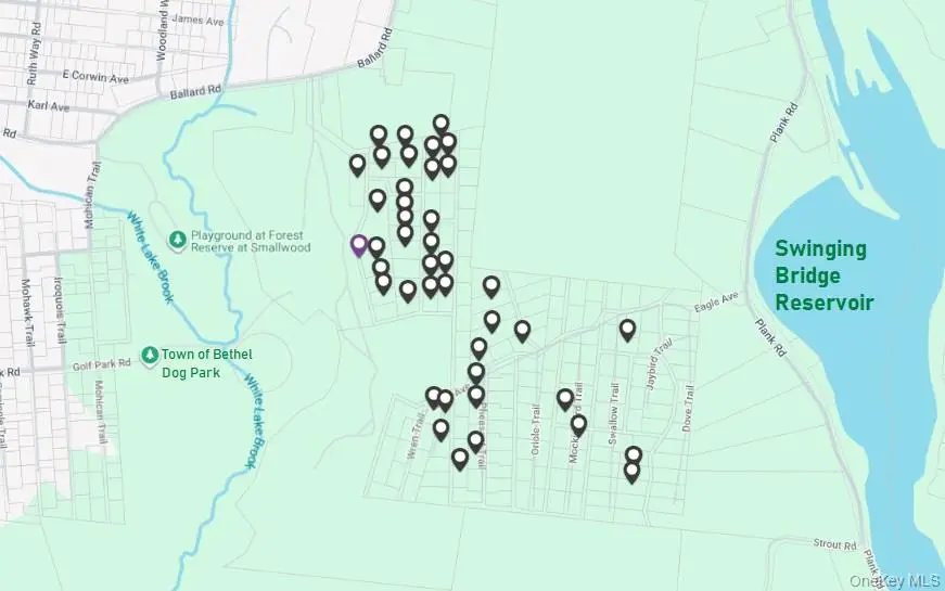 TBD Bobwhite Trail, Mongaup Valley, NY 12762 - #3