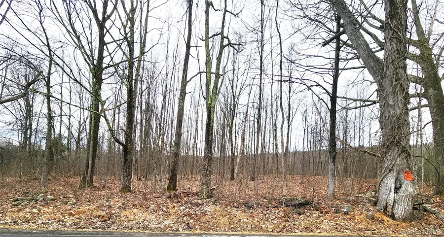 Irish Cape Road, Ellenville, NY 12428 - #3