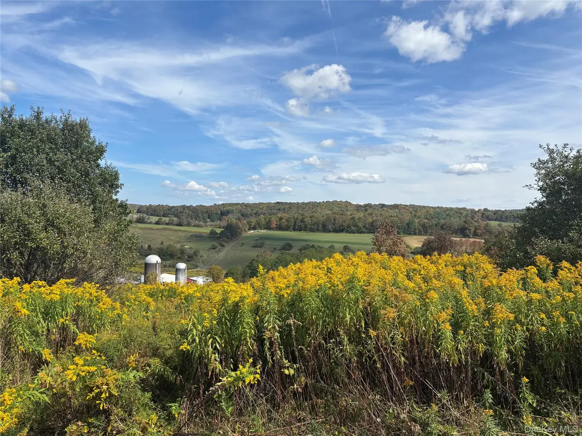 413 Middlefield Road, Roseboom, NY 13326 - #1