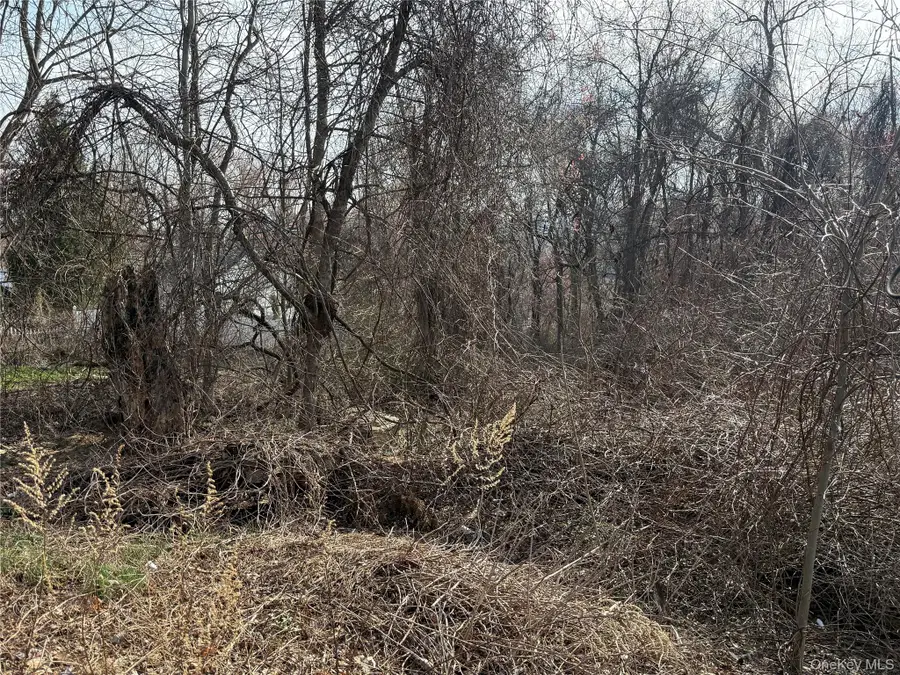 99 N Brewster Road, Brewster, NY 10509 - #3