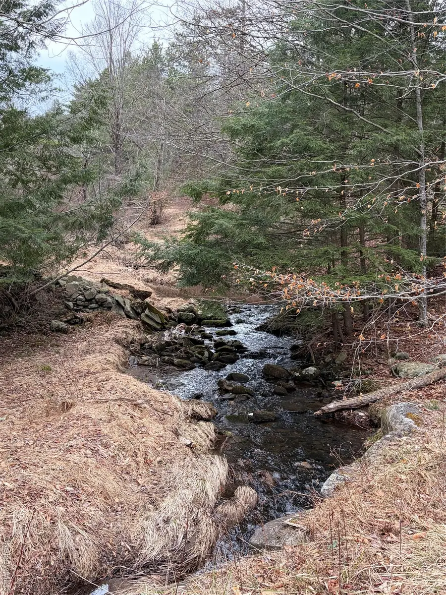 378 Gregory Road, Monticello, NY 12701 - #3