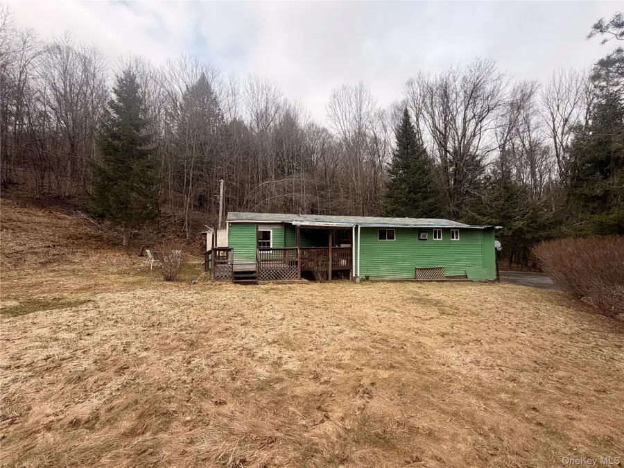 461 Back Shandelee Road, Livingston Manor, NY 12758 - #3