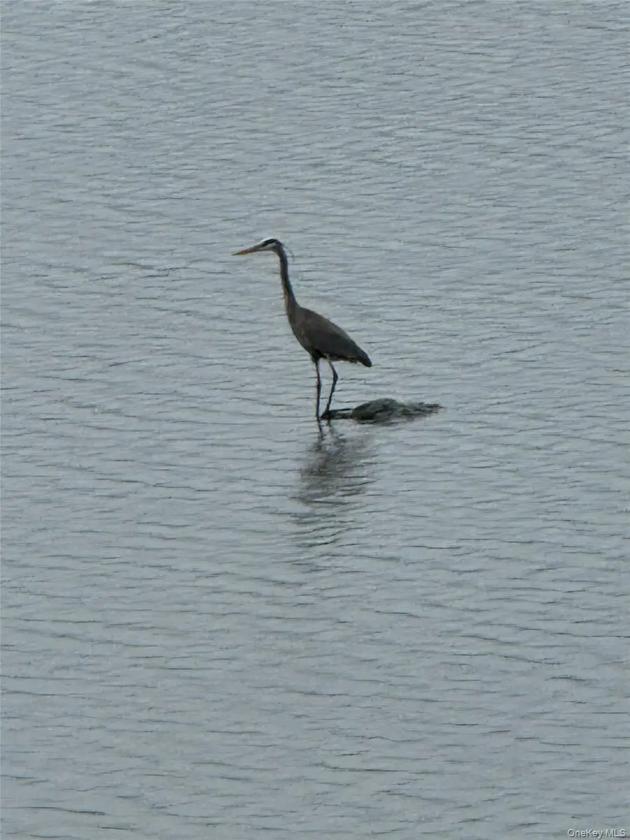 3 Lakeside Road, Mahopac, NY 10541 - #3