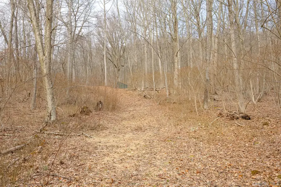 530 Eder Road, Stormville, NY 12582 - #2