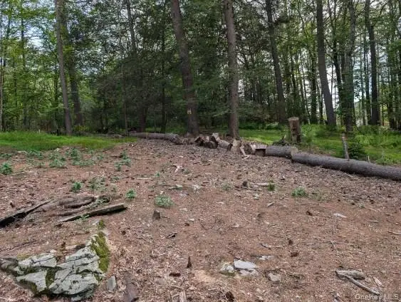 Eldred-yulan Road, Yulan, NY 12792 - #2