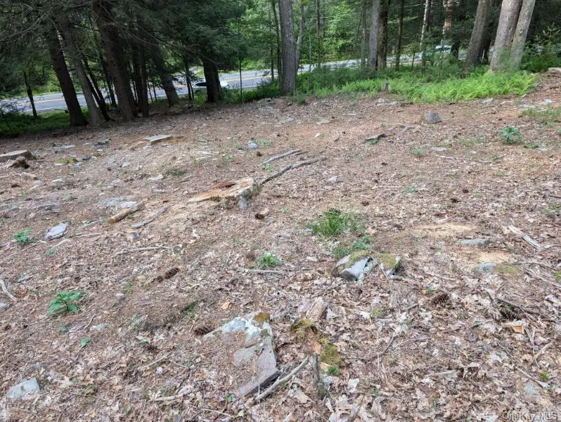Eldred-yulan Road, Yulan, NY 12792 - #3