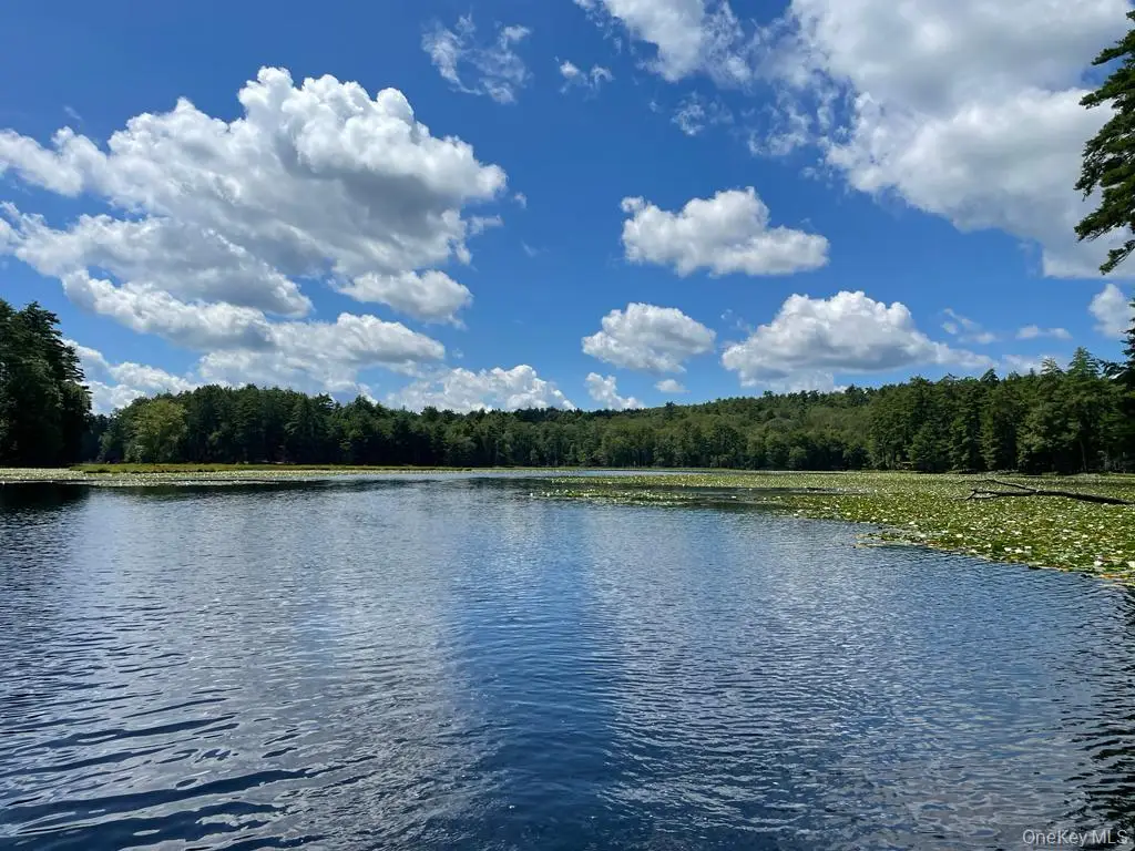 Address Withheld By Seller, Eldred, NY 12732 - #1