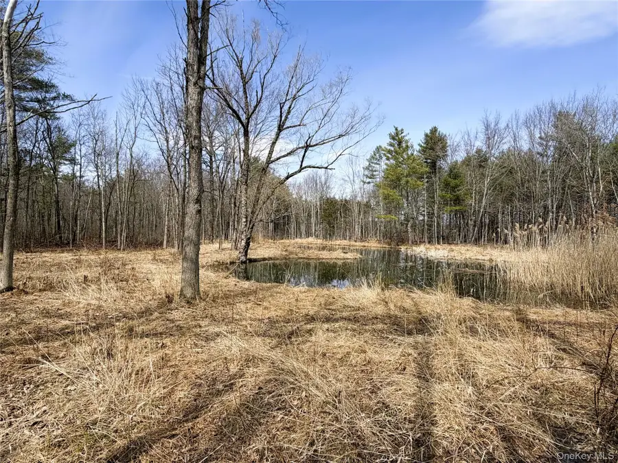 TBD Frank Hitchcock Road, Cairo, NY 12413 - #2