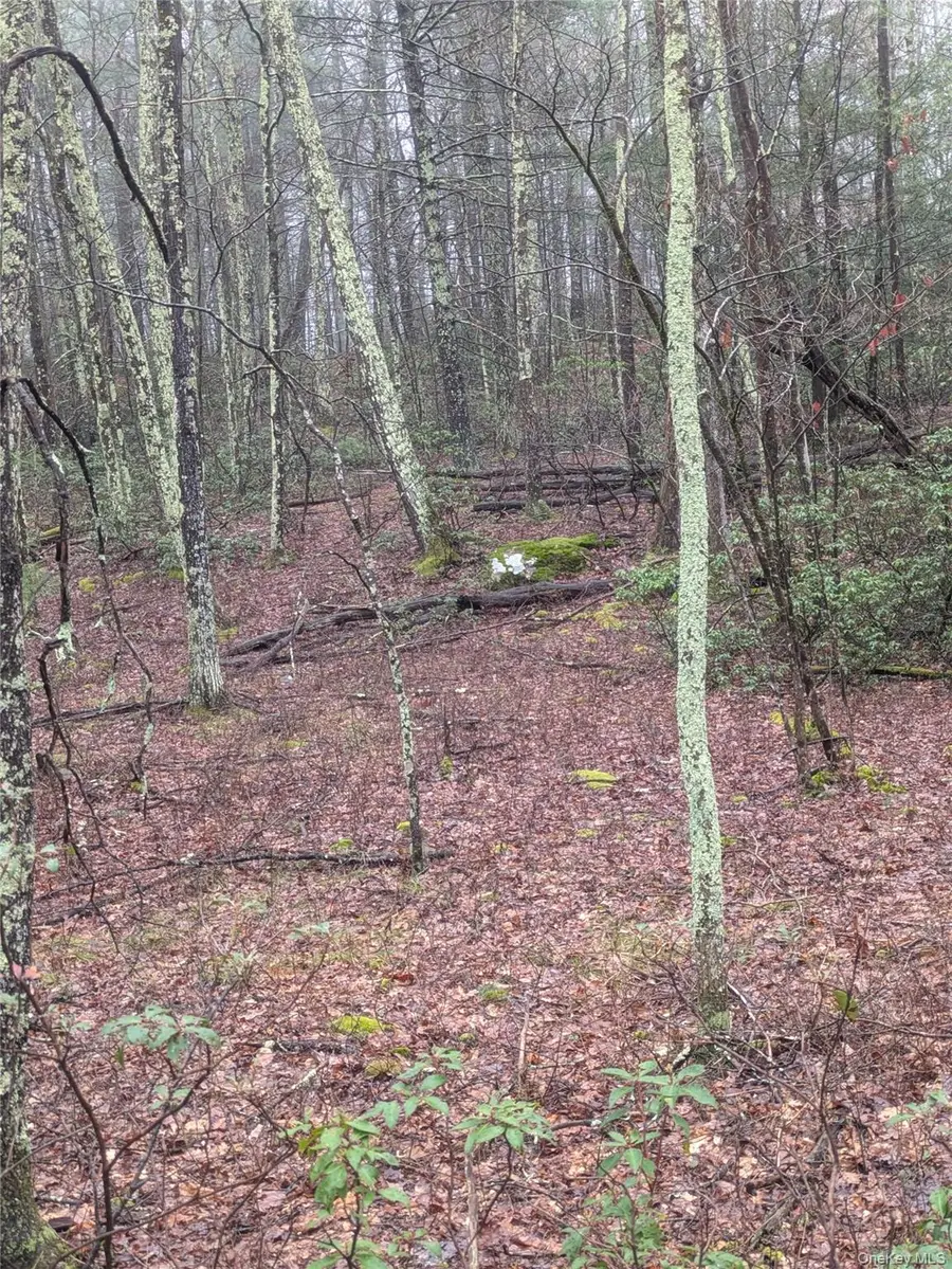 97 Otens Road, Wawarsing, NY 12489 - #2