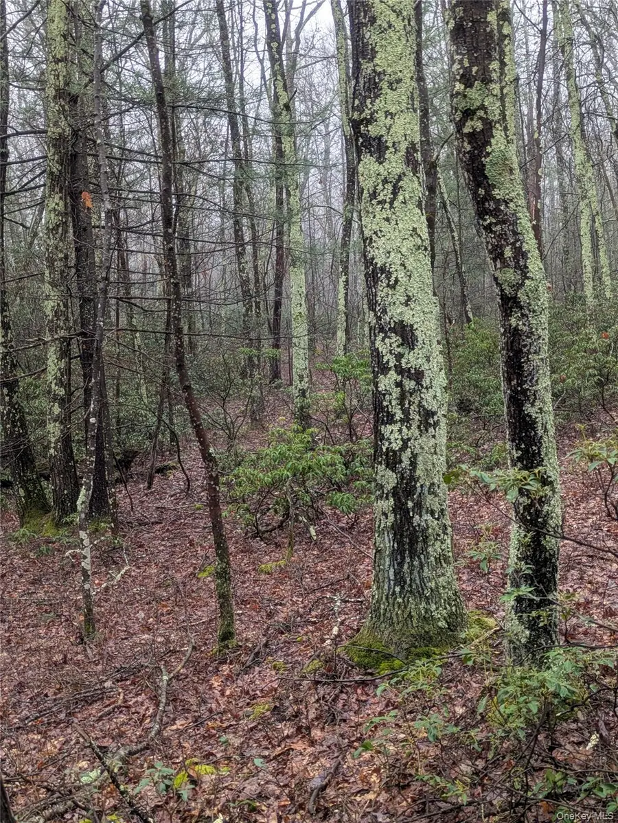 99 Otens Road, Wawarsing, NY 12489 - #2