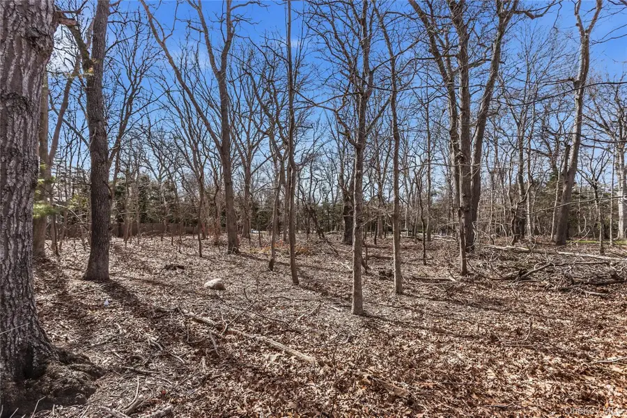 73 Manor Lane S, East Hampton, NY 11937 - #2