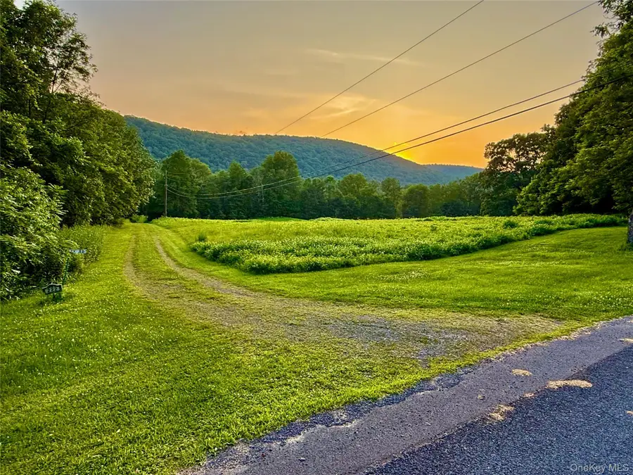 222 Stockport Road, Hancock, NY 13783 - #3